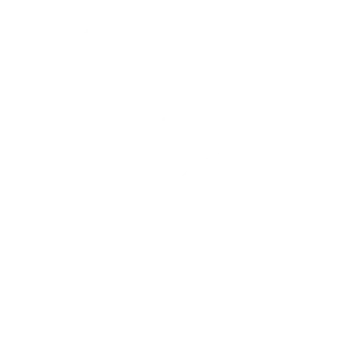 ikoni