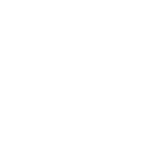 ikoni