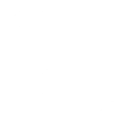 ikoni