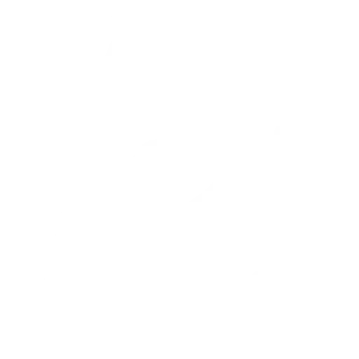 ikoni